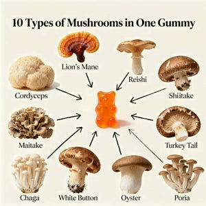 Mindezy Mushroom Gummies 10-Plex with Lion's Mane, Raspberry Flavor | 60 Vegan Gummies YUMMYLAND