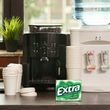 EXTRA Mint Sugar Free Chewing Gum, Variety Pack, 15 pc., 18 pk.