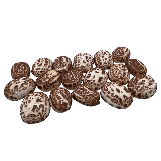 Freeze Dried Crunchy Stones Candy - 2 oz