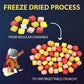 Freeze Dried Crunchy Cubes Candy - 3 oz