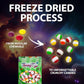 Freeze Dried SKITTLES - 8 Ounce, Premium Crunchy Freeze Dried Candy, Original Rainbow Fruit Flavors, TikTok Trends Freetles Dry Freeze Candy for Everyone