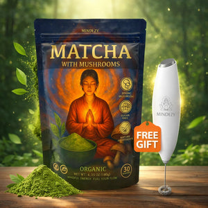 Matcha with Mushrooms - Focused Energy for Mind & Body (30 Servings) YUMMYLAND