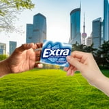 Extra Peppermint Sugar Free Chewing Gum, 15 pcs., 10 pk.