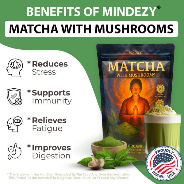 Matcha with Mushrooms - Focused Energy for Mind & Body (30 Servings) YUMMYLAND