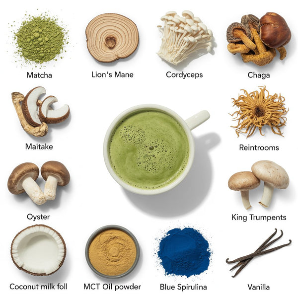 Matcha with Mushrooms - Focused Energy for Mind & Body (30 Servings) YUMMYLAND